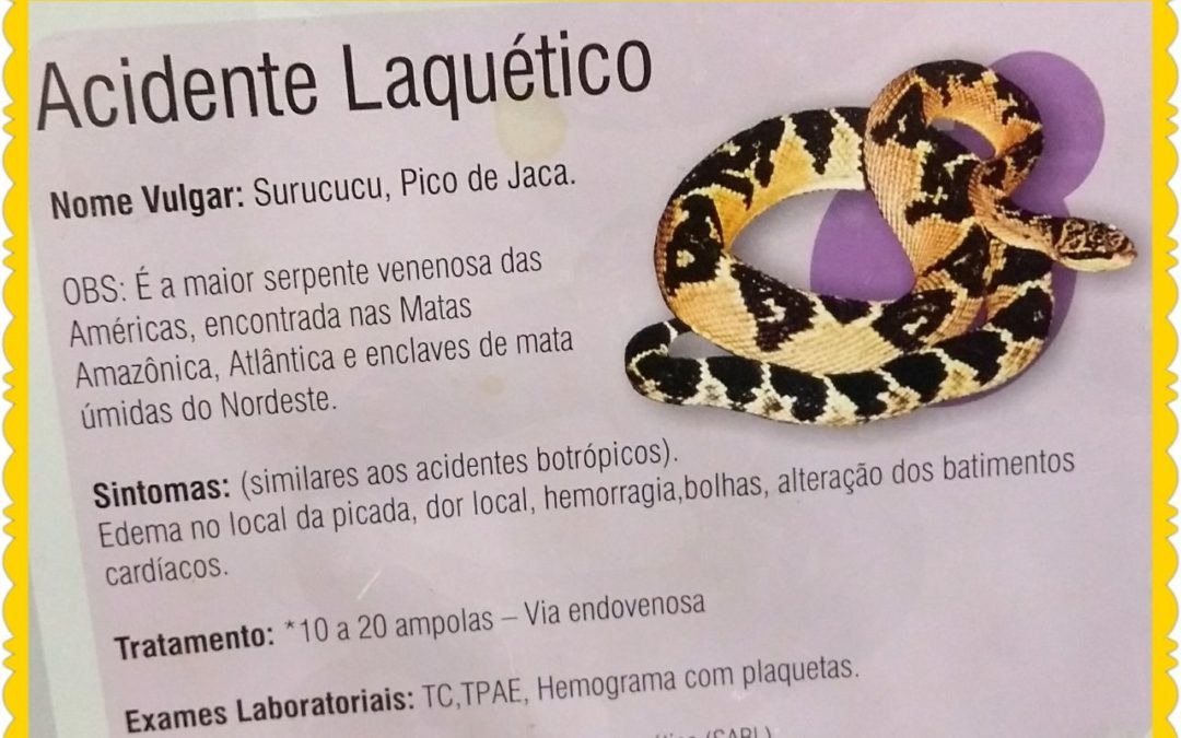 INFORMATIVO FARMÁCIA NA PRÁTICA – SÉRIE SOROS – N° 05